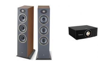 CABASSE ABYSS + FOCAL THEVA N3 dark wood