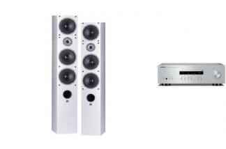 YAMAHA R-S202D s + WILSON RAPTOR 9 max W